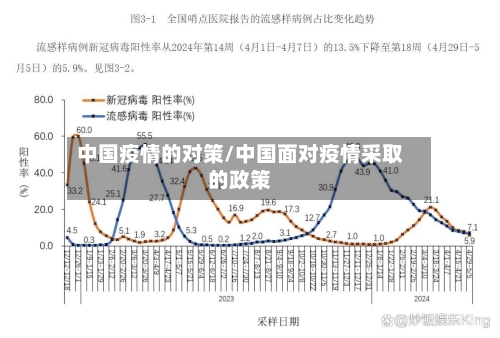 中国疫情的对策/中国面对疫情采取的政策