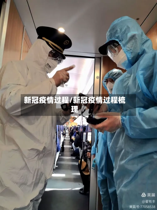 新冠疫情过程/新冠疫情过程梳理