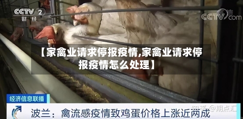 【家禽业请求停报疫情,家禽业请求停报疫情怎么处理】