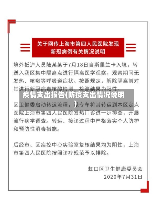 疫情支出报告(防疫支出情况说明)