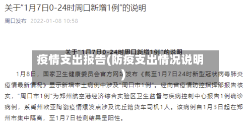 疫情支出报告(防疫支出情况说明)-第2张图片