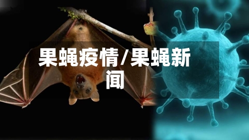 果蝇疫情/果蝇新闻