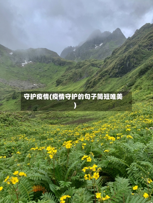 守护疫情(疫情守护的句子简短唯美)