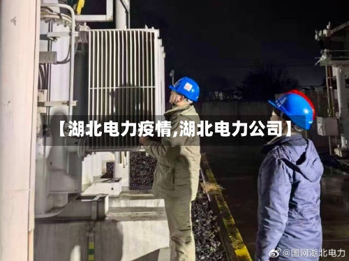 【湖北电力疫情,湖北电力公司】