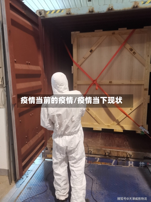 疫情当前的疫情/疫情当下现状
