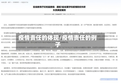 疫情责任的体现/疫情责任的例子-第3张图片