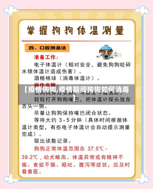 【疫情狗狗,疫情期间狗狗如何消毒】