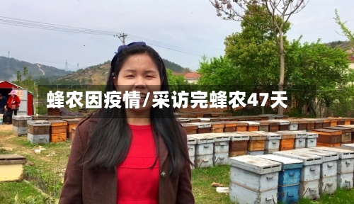 蜂农因疫情/采访完蜂农47天