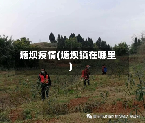 塘坝疫情(塘坝镇在哪里)