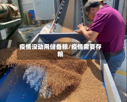 疫情没动用储备粮/疫情需要存粮