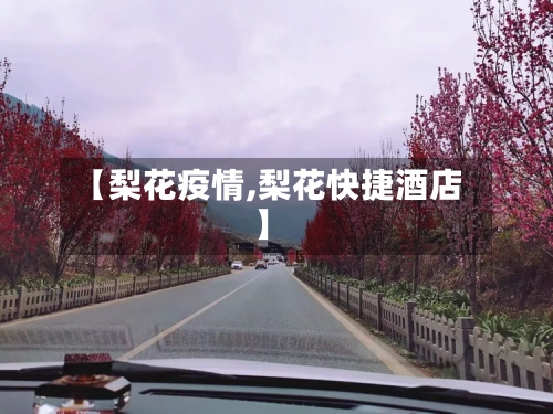 【梨花疫情,梨花快捷酒店】-第2张图片