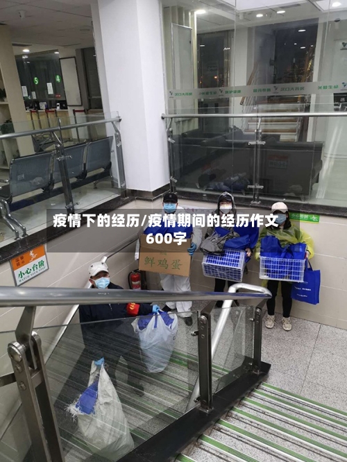 疫情下的经历/疫情期间的经历作文600字-第2张图片