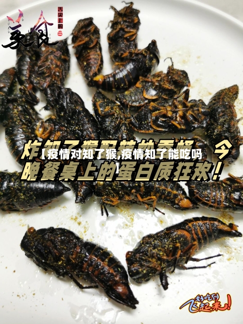 【疫情对知了猴,疫情知了能吃吗】-第3张图片