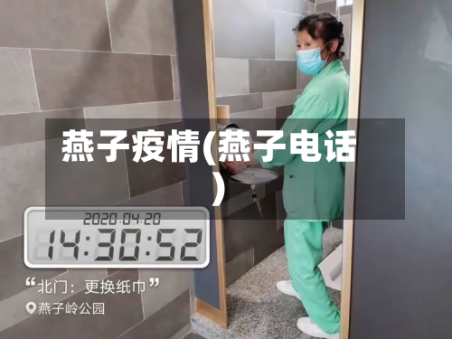 燕子疫情(燕子电话)