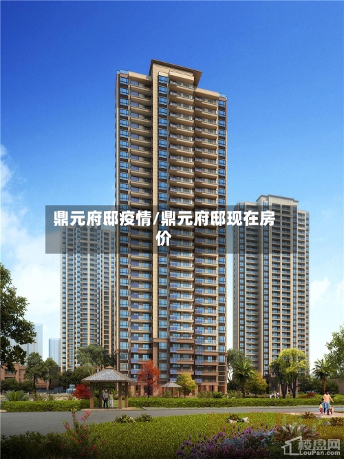 鼎元府邸疫情/鼎元府邸现在房价-第3张图片