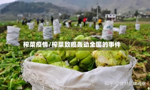 榨菜疫情/榨菜致癌轰动全国的事件-第3张图片