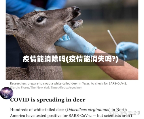 疫情能消除吗(疫情能消失吗?)