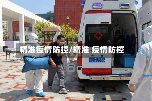 精准疫情防控/精准 疫情防控-第2张图片