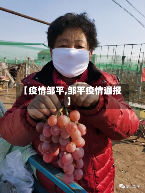 【疫情邹平,邹平疫情通报】