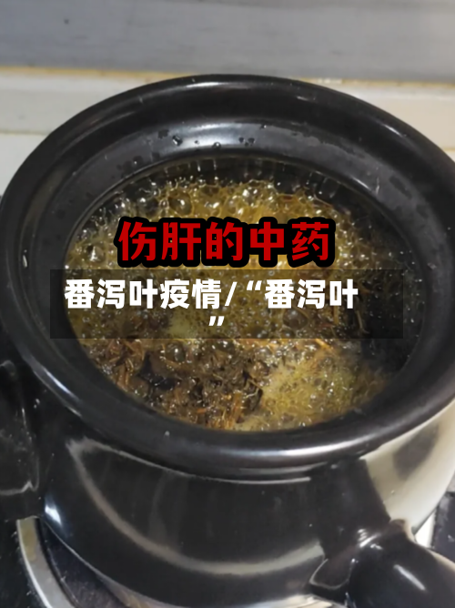 番泻叶疫情/“番泻叶”-第2张图片