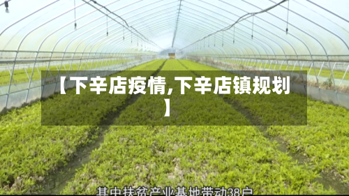 【下辛店疫情,下辛店镇规划】