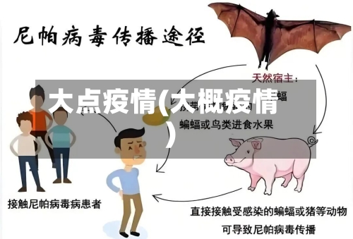 大点疫情(大概疫情)