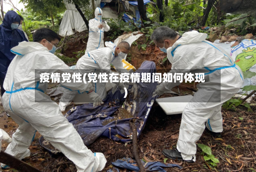 疫情党性(党性在疫情期间如何体现)