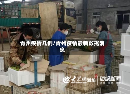 青州疫情几例/青州疫情最新数据消息-第3张图片