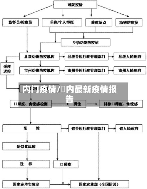 内门疫情/囯内最新疫情报告