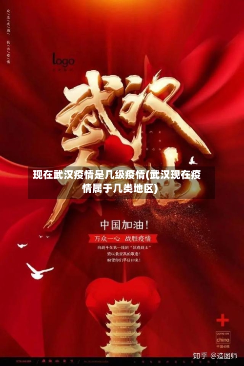 现在武汉疫情是几级疫情(武汉现在疫情属于几类地区)-第2张图片