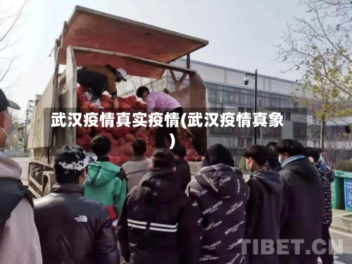 武汉疫情真实疫情(武汉疫情真象)