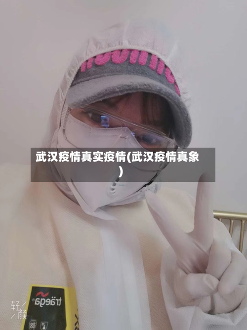 武汉疫情真实疫情(武汉疫情真象)-第3张图片