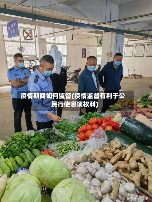 疫情期间如何监督(疫情监督有利于公民行使哪项权利)