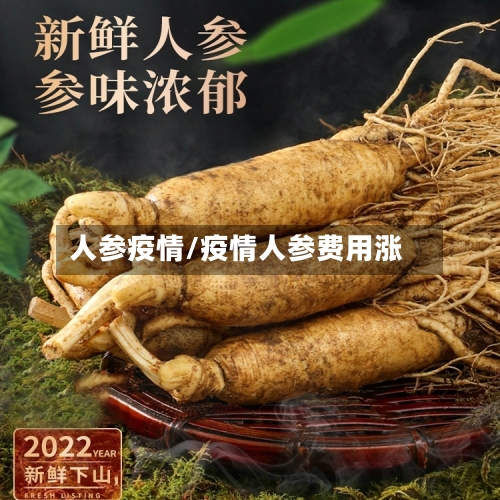 人参疫情/疫情人参费用涨