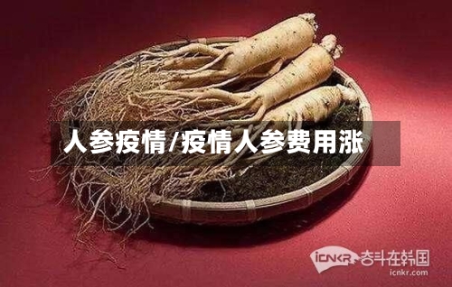 人参疫情/疫情人参费用涨-第2张图片