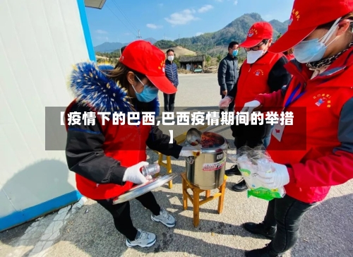 【疫情下的巴西,巴西疫情期间的举措】-第2张图片