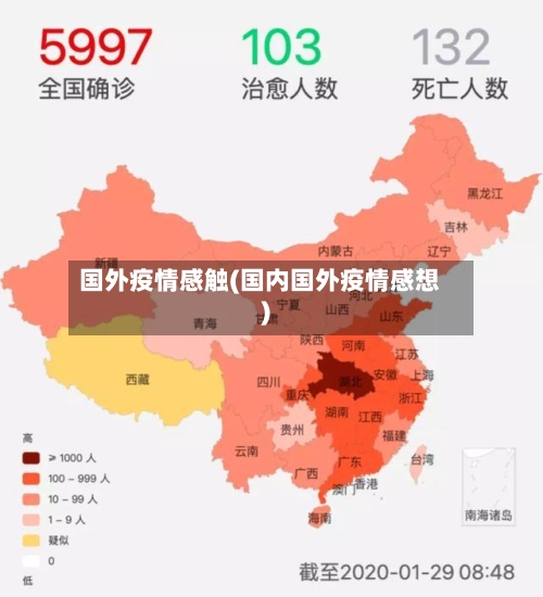 国外疫情感触(国内国外疫情感想)-第3张图片