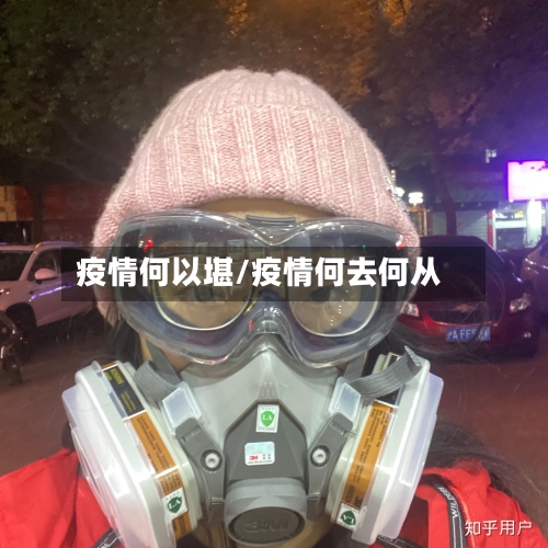 疫情何以堪/疫情何去何从-第2张图片