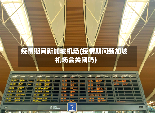 疫情期间新加坡机场(疫情期间新加坡机场会关闭吗)-第3张图片