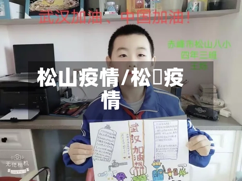 松山疫情/松冮疫情-第3张图片
