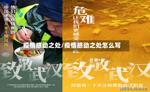 疫情感动之处/疫情感动之处怎么写