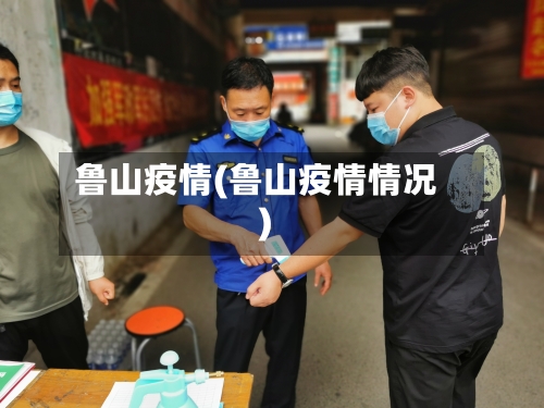 鲁山疫情(鲁山疫情情况)