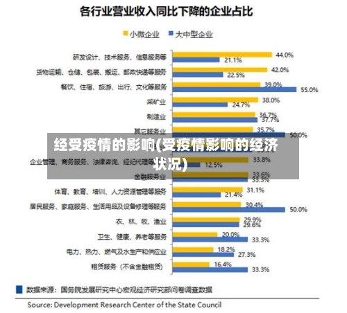 经受疫情的影响(受疫情影响的经济状况)