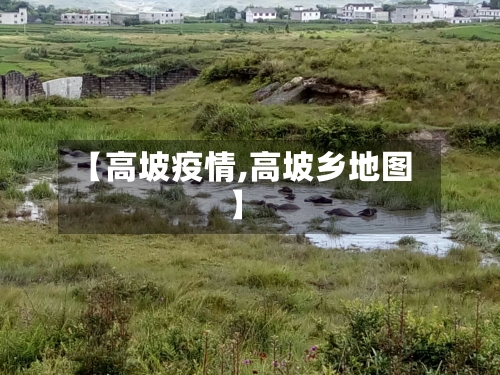【高坡疫情,高坡乡地图】