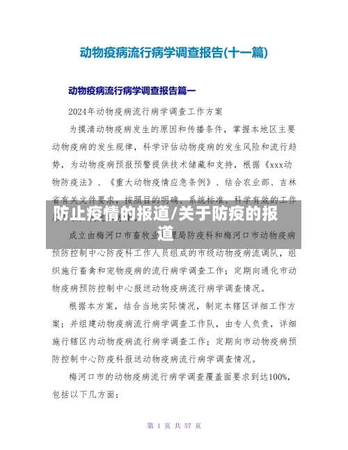 防止疫情的报道/关于防疫的报道-第2张图片