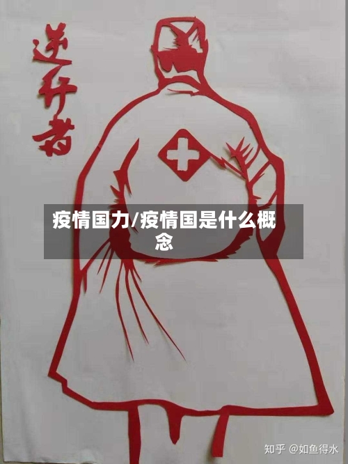 疫情国力/疫情国是什么概念
