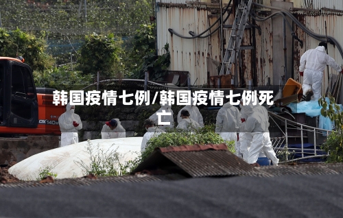 韩国疫情七例/韩国疫情七例死亡-第2张图片