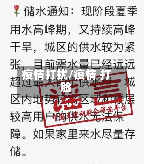 疫情打扰/疫情 打脸