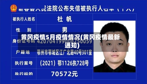黄冈疫情5月疫情情况(黄冈疫情最新通知)-第3张图片