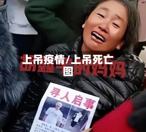 上吊疫情/上吊死亡图